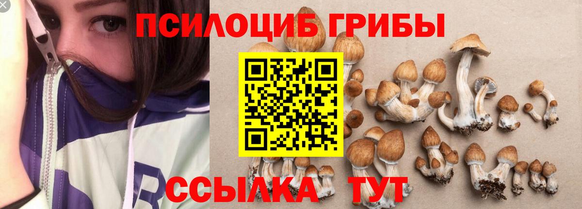Псилоцибиновые грибы Magic Shrooms  Псилоцибиновые грибы MAGIC MUSHROOMS  Вход с VPN  Тихорецк 